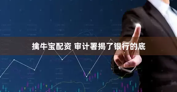 擒牛宝配资 审计署揭了银行的底