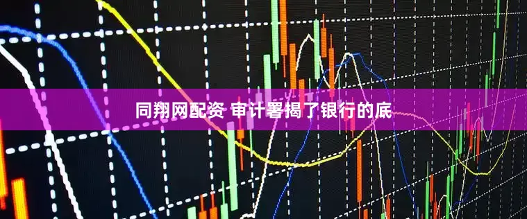 同翔网配资 审计署揭了银行的底