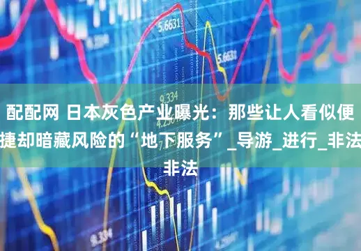 配配网 日本灰色产业曝光：那些让人看似便捷却暗藏风险的“地下服务”_导游_进行_非法