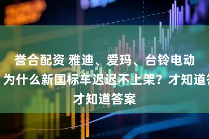 誉合配资 雅迪、爱玛、台铃电动车,为什么新国标车迟迟不上架?才知道答案